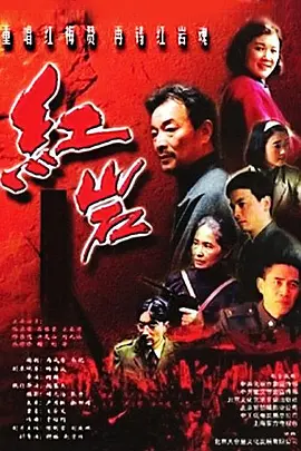 电视剧阳光路上演员表