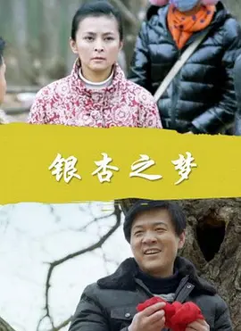 射雕插曲大全12首mp3