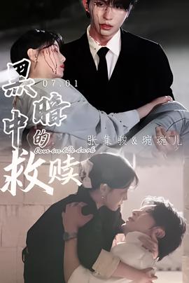 鹰与枭电视剧全集播放