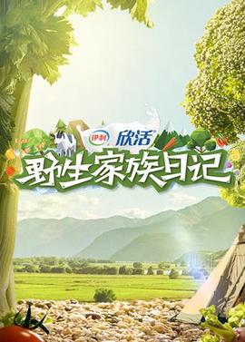 刘家祎