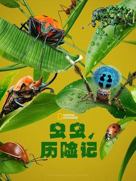 战争之王免费观看高清