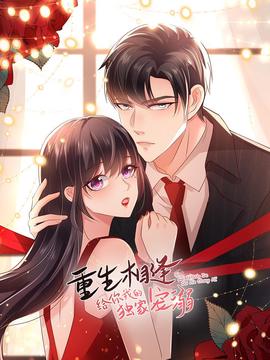 赵丽颖刘涛版杨门女将