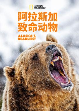 奥特曼动画片全集免费