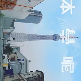 在线观看红高粱电视剧全集免费版