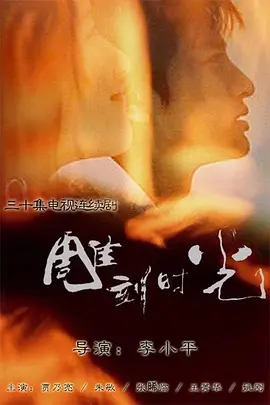 我的老婆是赌圣百度云