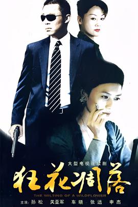 小女霓裳电视剧免费播放