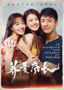 关东大先生在线观看
