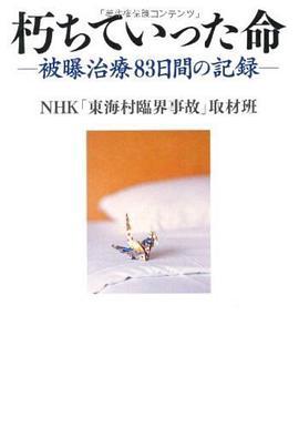 星星点灯 喵喵