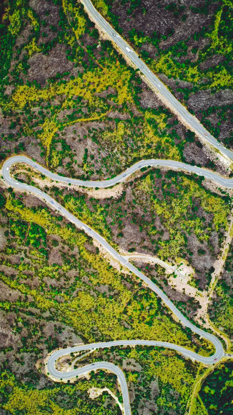 鸟瞰森林中蜿蜒的道路